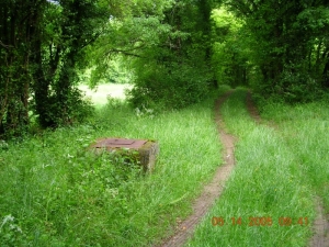 Le puits de la Combe Bruneau en bas des Gendres (Ph. G. BRANCHUT 2005)