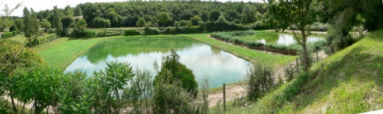 Les lagunes après transformation de renforcement. Au fond à droite on distingue la lagune de roseaux (Ph. G. B.)