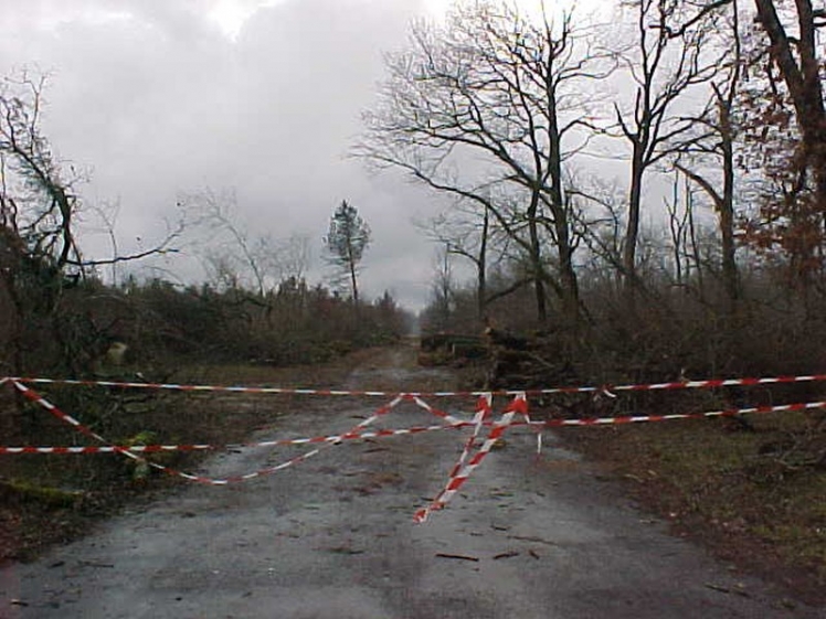 Les routes étaient impraticables et les arbres encore debouts risquaient de tomber à tout moment (Ph. Daniel BRANCHUT)