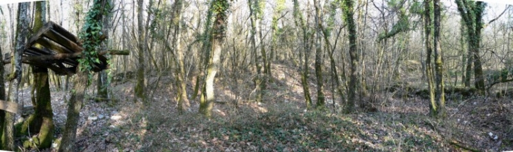 Panorama de murs intérieurs avec une butte de pierres entassées. (Ph. G. BRANCHUT 2009)