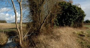 Ruines du Moulin Neuf avec le ruisseau "la Gorette" qui coule sur la gauche. (Ph. J. CHASSAGNE - JP GUILLOU 2009)